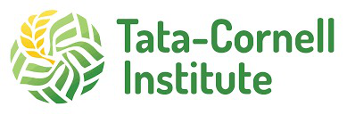 Tata Cornell Institute Logo