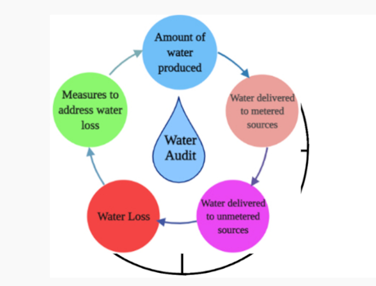 water audit